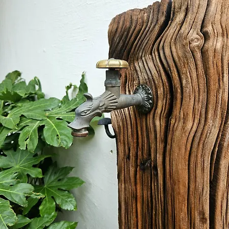 Paradise Garden Apartment Split